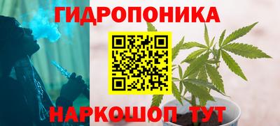 2c-b Гусев